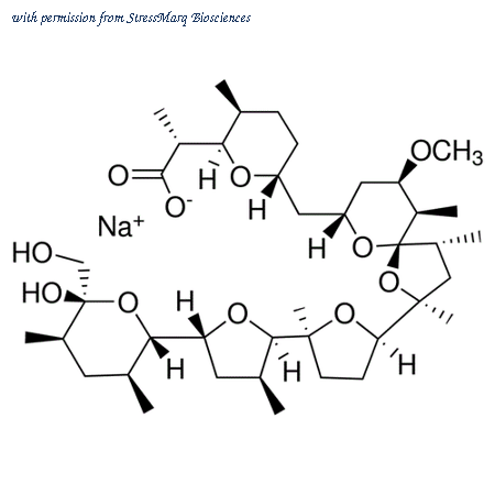 StressMarq Biosciences SIH-229-10MG image 1