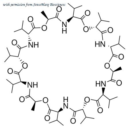 StressMarq Biosciences SIH-230-10MG image 1