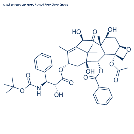 StressMarq Biosciences SIH-240-10MG image 1