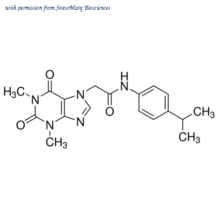 StressMarq Biosciences SIH-303 image 1
