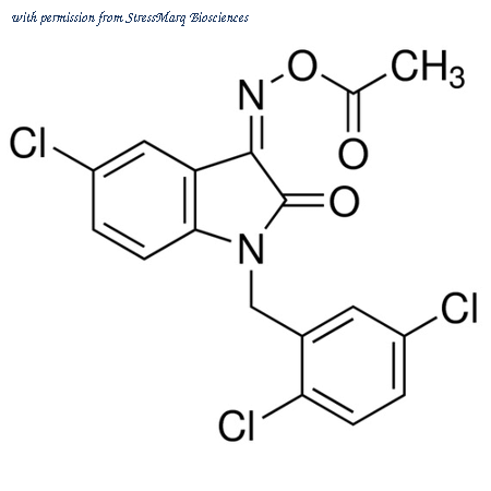 StressMarq Biosciences SIH-332 image 1