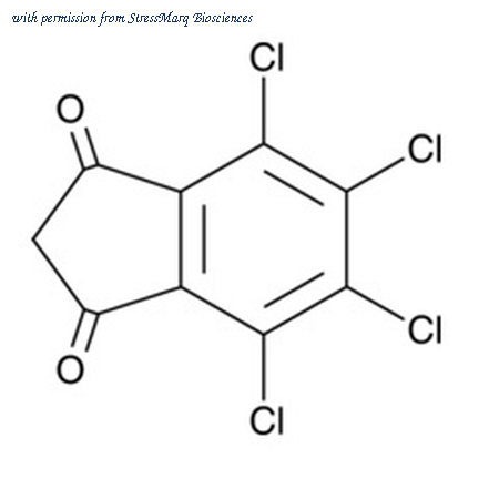 StressMarq Biosciences SIH-340 image 1