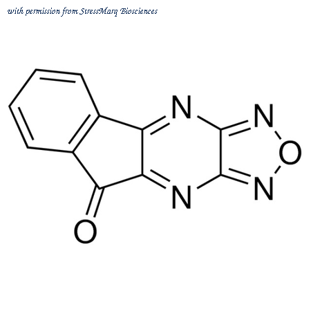 StressMarq Biosciences SIH-341 image 1