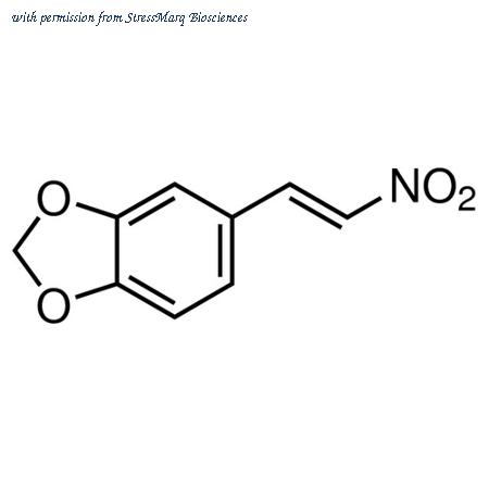 StressMarq Biosciences SIH-342 image 1