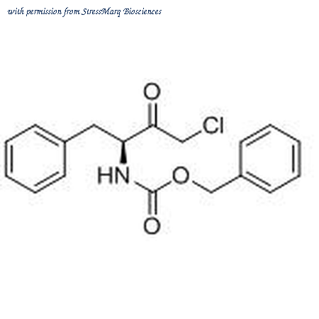 StressMarq Biosciences SIH-343 image 1