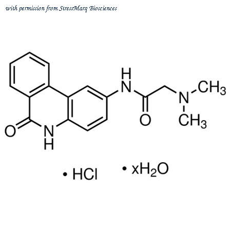 StressMarq Biosciences SIH-366 image 1