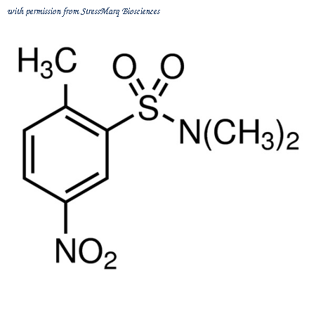 StressMarq Biosciences SIH-374-10MG image 1