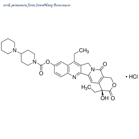 StressMarq Biosciences SPC-206 image 1
