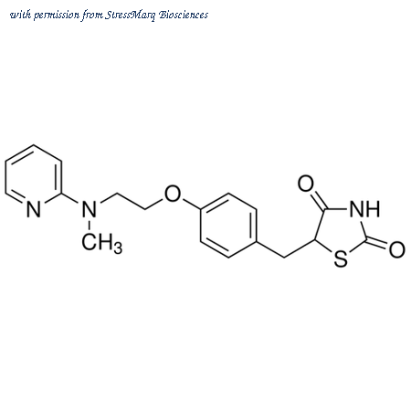 StressMarq Biosciences SIH-379 image 1