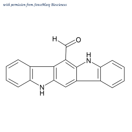 StressMarq Biosciences SIH-383 image 1