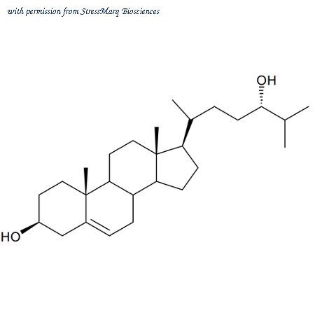StressMarq Biosciences SIH-384 image 1