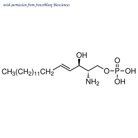 StressMarq Biosciences SIH-386 image 1
