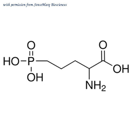 StressMarq Biosciences SIH-414 image 1