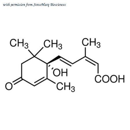 StressMarq Biosciences SIH-415 image 1