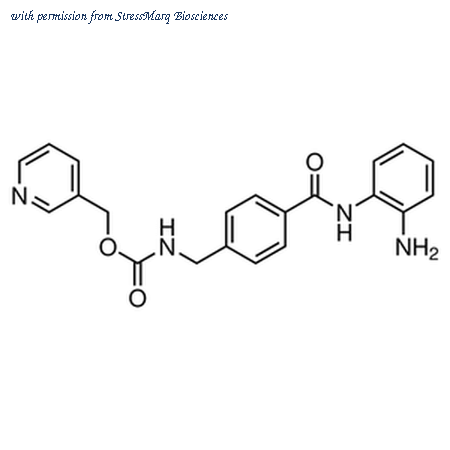 StressMarq Biosciences SIH-416 image 1