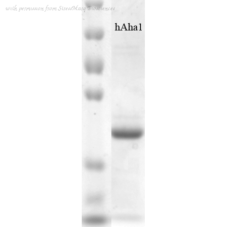 StressMarq Biosciences SPR-309 image 1