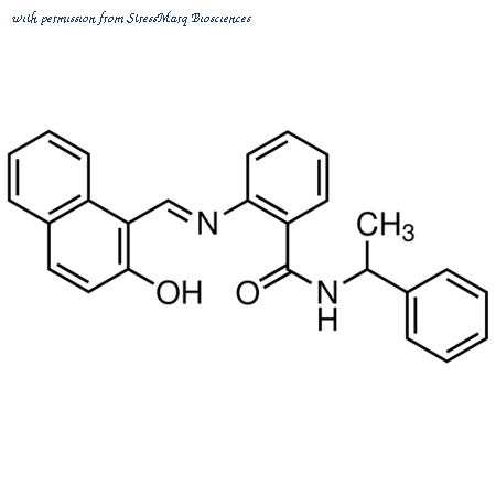 StressMarq Biosciences SPC-657D image 1