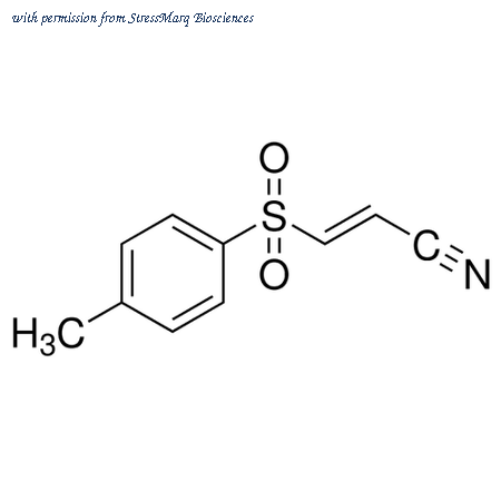 StressMarq Biosciences SIH-434 image 1