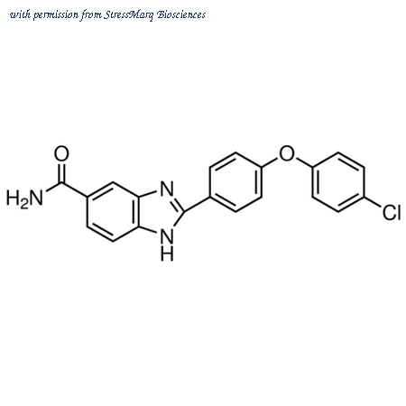StressMarq Biosciences SIH-436 image 1