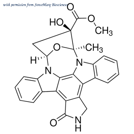StressMarq Biosciences SIH-455 image 1