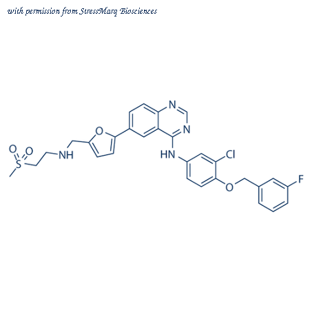 StressMarq Biosciences SIH-459 image 1