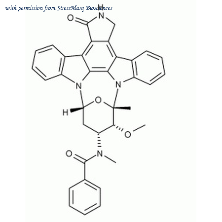 StressMarq Biosciences SIH-468 image 1