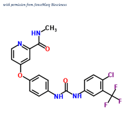 StressMarq Biosciences SIH-476 image 1
