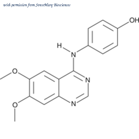 StressMarq Biosciences SIH-485 image 1