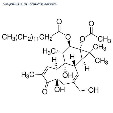 StressMarq Biosciences SIH-508 image 1
