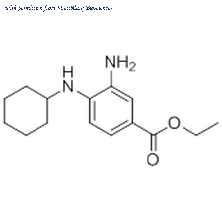 StressMarq Biosciences SIH-526 image 1