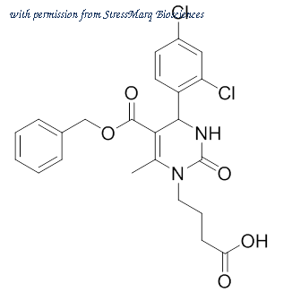 StressMarq Biosciences SIH-123-5MG ͼ 1