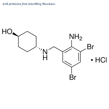 StressMarq Biosciences SIH-153-50MG ͼ 1