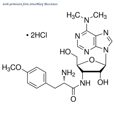 StressMarq Biosciences SIH-248 image 1