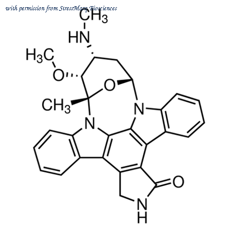 StressMarq Biosciences SIH-253 image 1