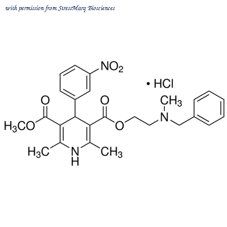 StressMarq Biosciences SIH-313-50MG image 1