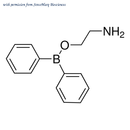 StressMarq Biosciences SIH-316-50MG image 1