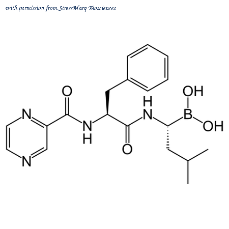 StressMarq Biosciences SIH-328 image 1