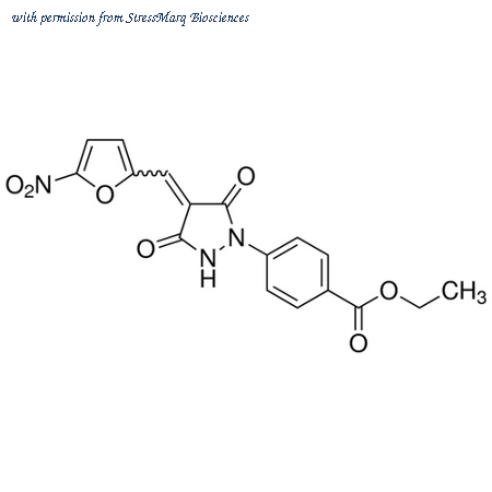 StressMarq Biosciences SIH-330 image 1