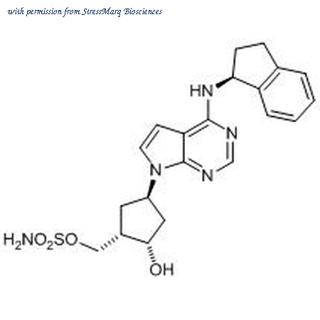 StressMarq Biosciences SIH-331 image 1