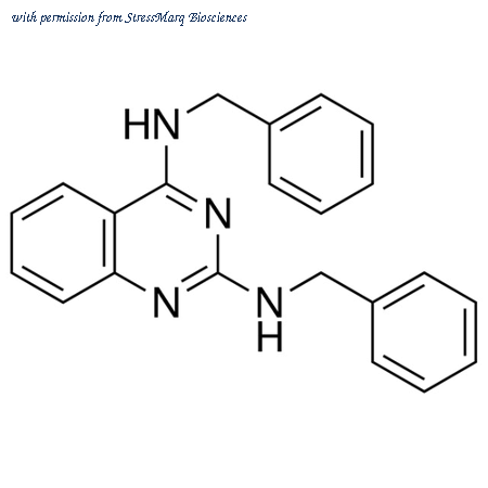 StressMarq Biosciences SIH-334 image 1