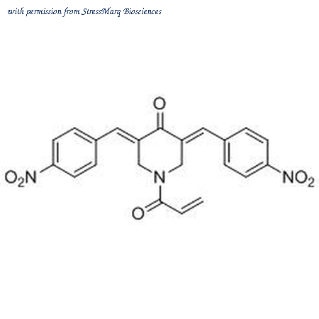 StressMarq Biosciences SIH-339 image 1