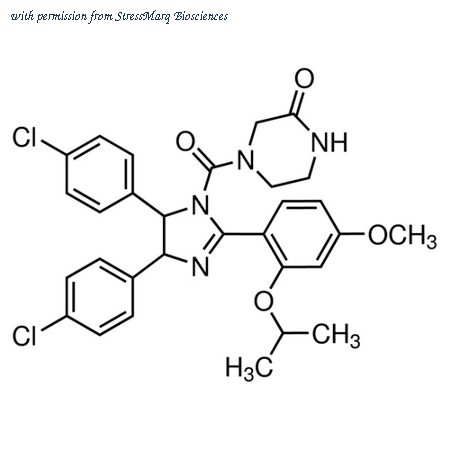 StressMarq Biosciences SIH-344 image 1