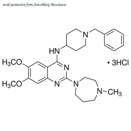 StressMarq Biosciences SIH-347 image 1