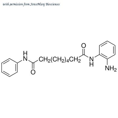 StressMarq Biosciences SIH-348 image 1