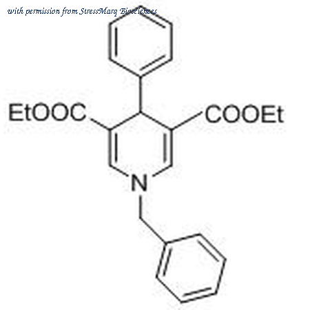 StressMarq Biosciences SIH-349 image 1
