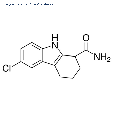 StressMarq Biosciences SIH-353 image 1