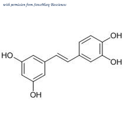 StressMarq Biosciences SIH-358 image 1