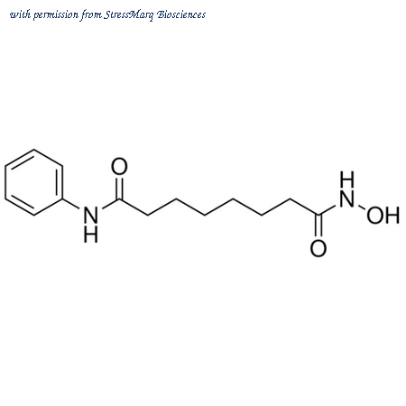 StressMarq Biosciences SIH-359 image 1