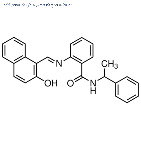 StressMarq Biosciences SIH-360 image 1