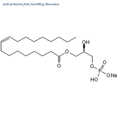 StressMarq Biosciences SIH-403-5MG image 1